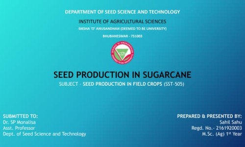 5个月半月宝宝网 - 网站提供5个月半月宝宝吐奶正常吗小常识、5个月半月宝宝可以添加辅食了吗